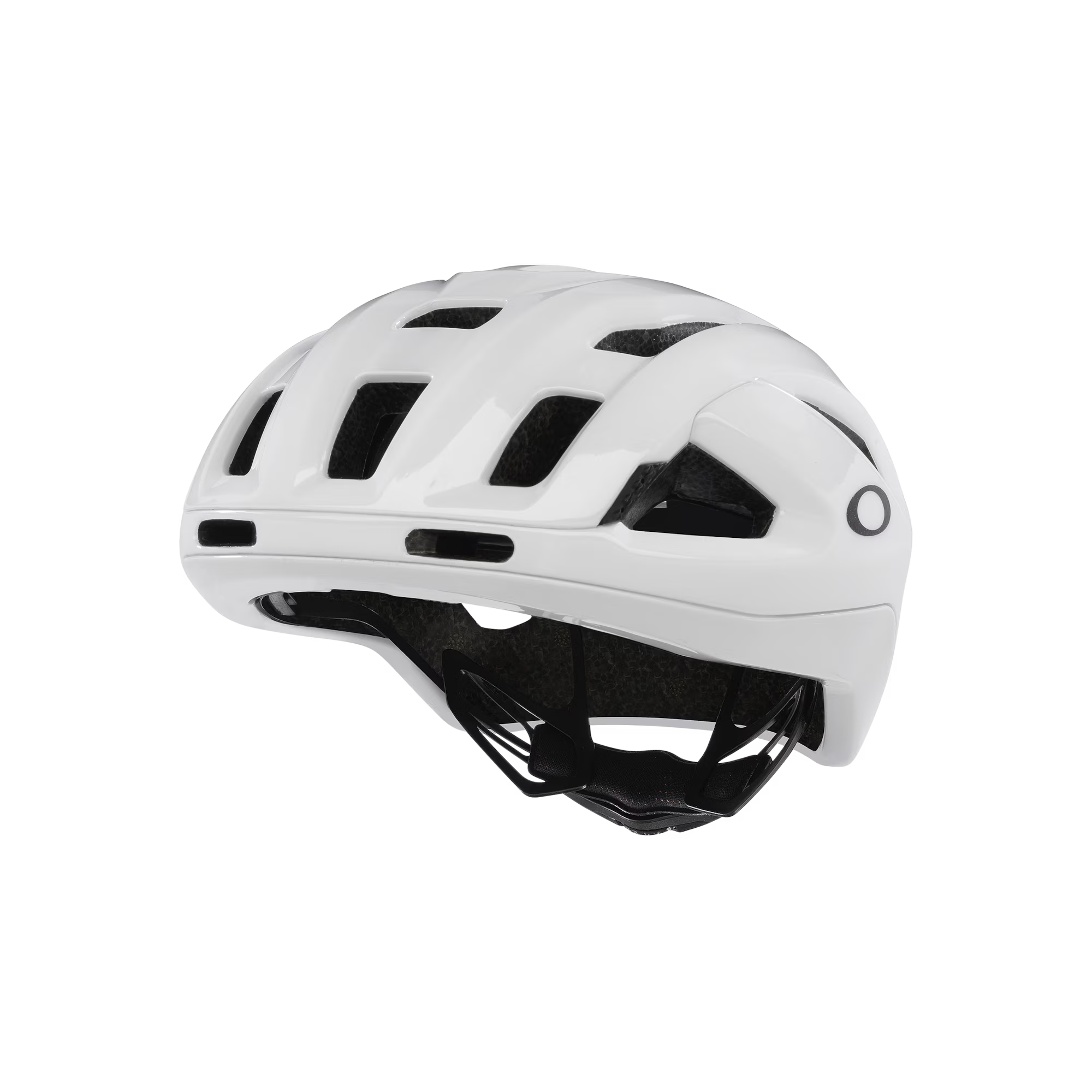 Oakley ARO3 Endurance